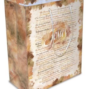 Large Luxury Paper Gift Bag