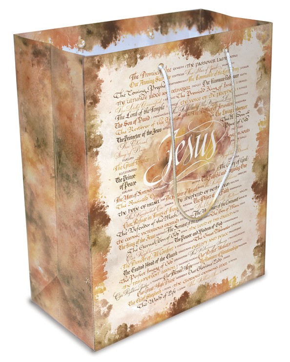 Large Luxury Paper Gift Bag