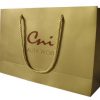 Luxury Paper Handle Bag