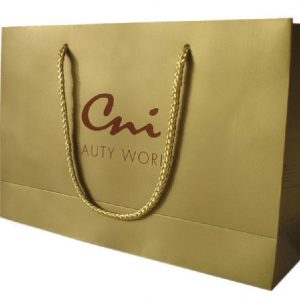Luxury Paper Handle Bag