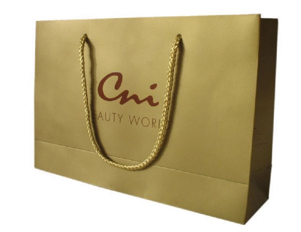 Luxury Paper Handle Bag