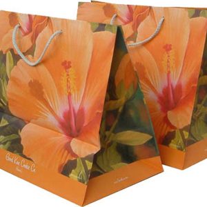 Paper Shopping Bag With Sunny Flowers