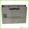 Colorful Wholesale Paper Bag