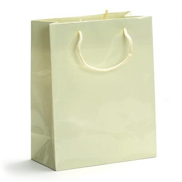 High Gloss Laminated Paper Shopping Bags-paper bag-gift bag