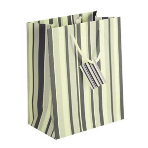 Blue and White Striped Shopping Bag