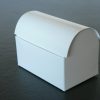 white glossy packaging box