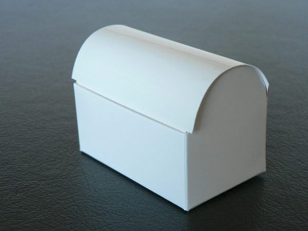 white glossy packaging box